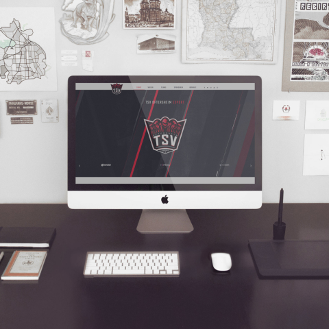 TSV Oftersheim E-Sports Website